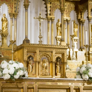 wedding ceremony altar arrangements hydrangea low large round ceremony decor church kim starr wise floral design