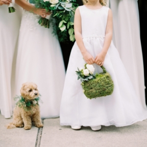 flower collar for dog and flower basket for flower girl at september wedding florals in new orleans by kim starr wise event florist
