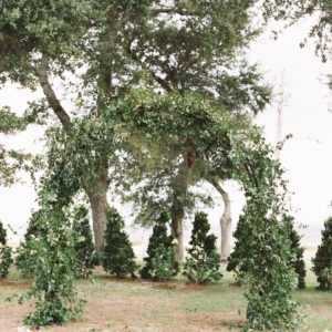 the bride and groom got married underneath a large arch covered with greenery and vines overlooking the gulf coast in mississippi