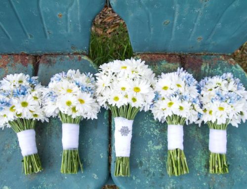 Top 10 Most Inexpensive (But Totally Beautiful) Flowers